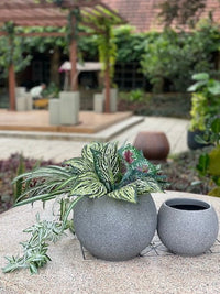 Prado ball hand painted planter, grey