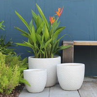 Prisma honeycomb egg pot
