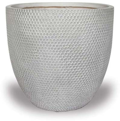 Prisma honeycomb egg pot, white