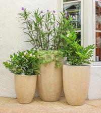 Rio planter