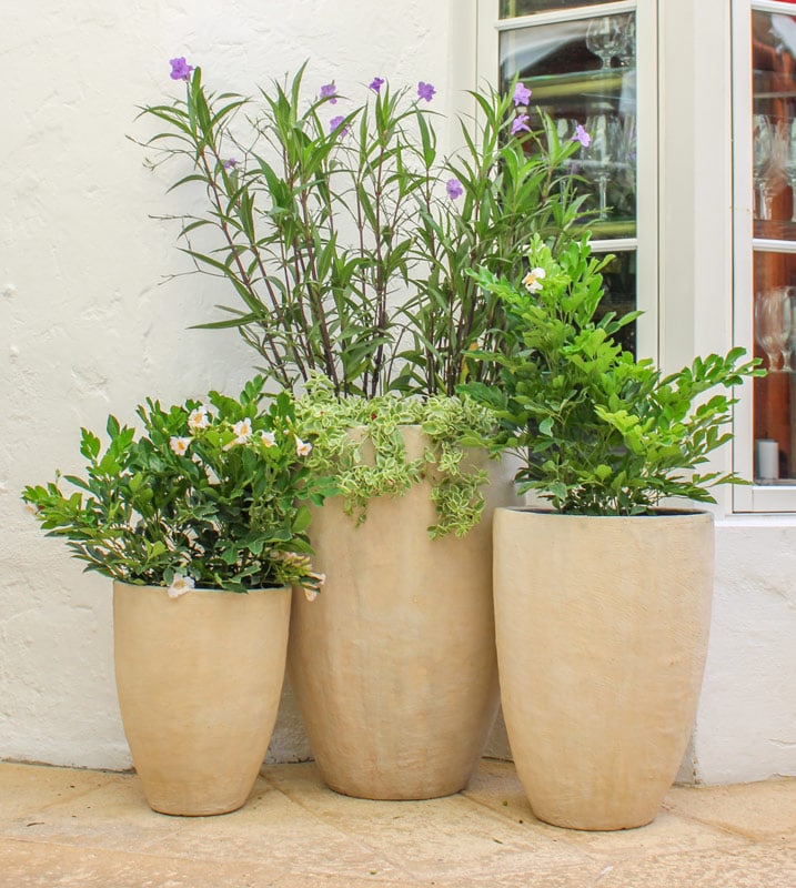 Rio planter
