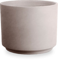Rosa antique terra cotta planter