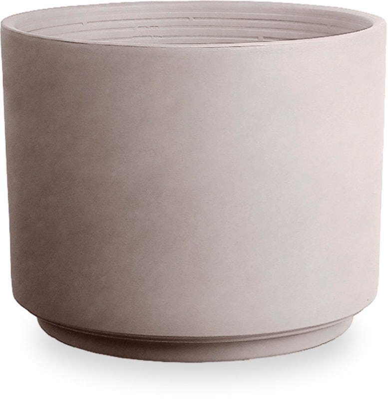 Rosa antique terra cotta planter