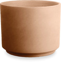 Rosa antique terra cotta planter