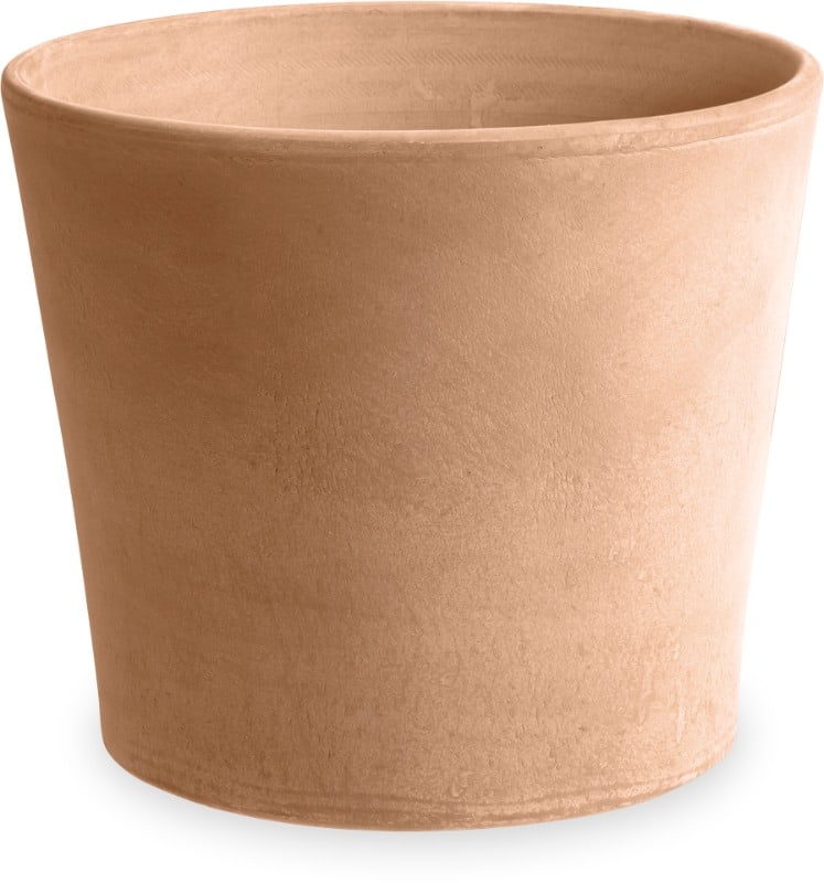 Rosa antique terra cotta sereo planter