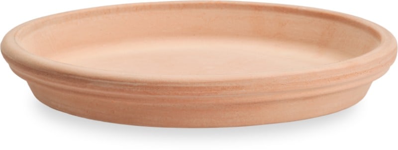 Rosa antique terra cotta sereo saucer