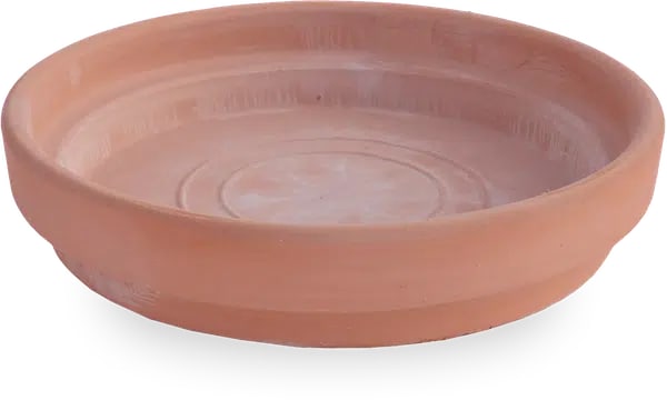 Rosa large saucer