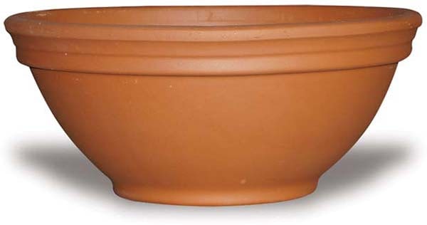 Rosa low bowl