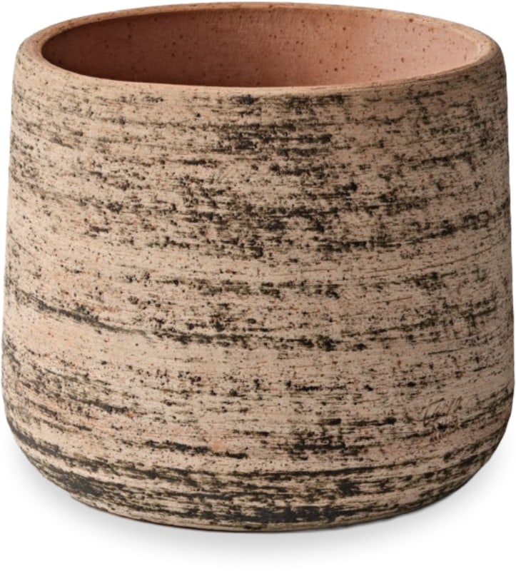 Rosa murgia planter