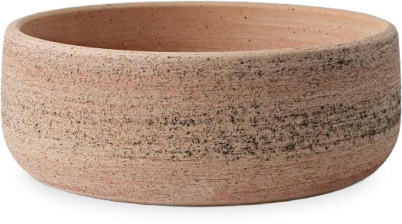 Rosa olympia planter