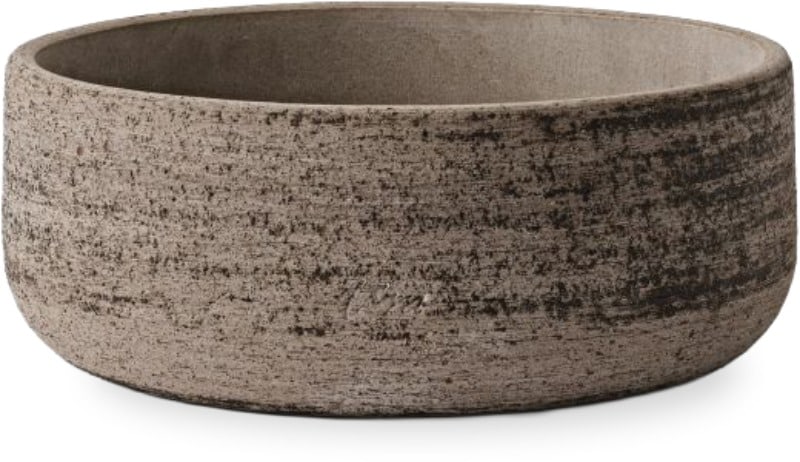 Rosa olympia planter