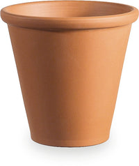 Rosa oxford cotta planter