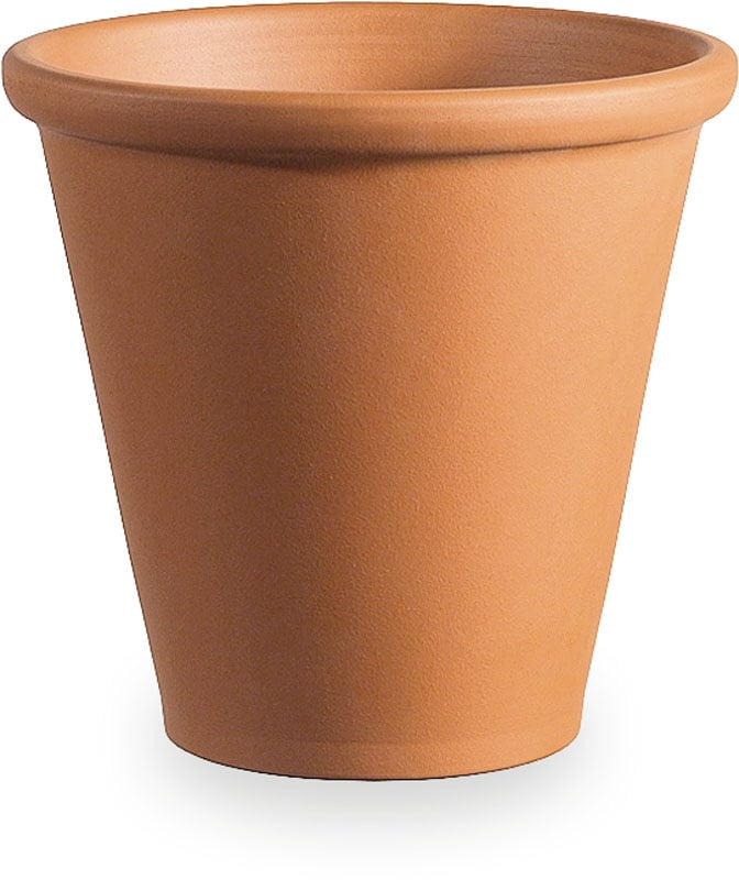 Rosa oxford cotta planter