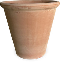 Rosa oxford cotta planter