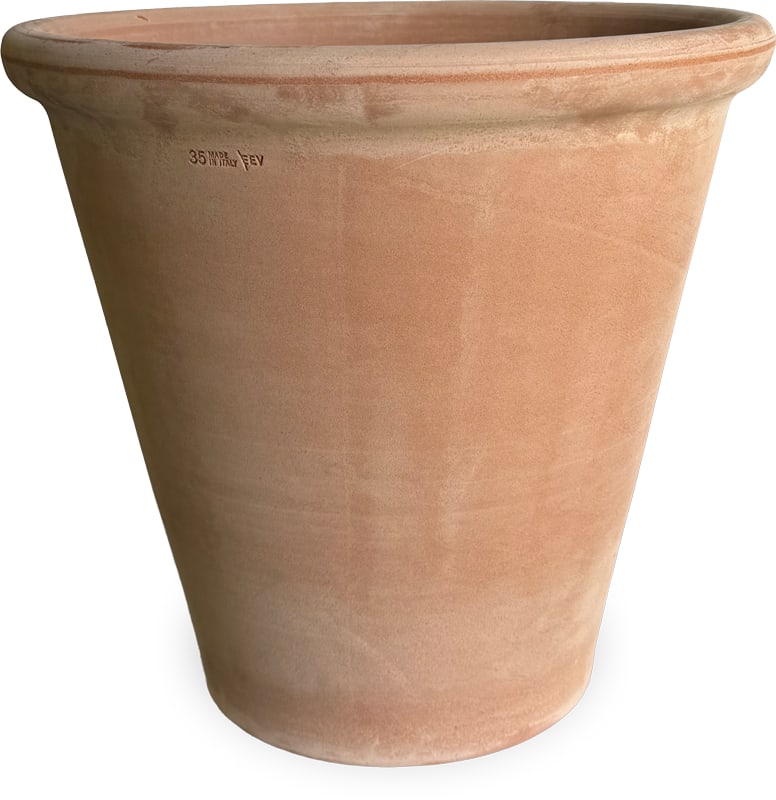 Rosa oxford cotta planter