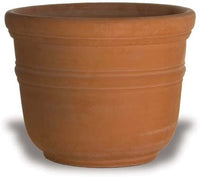 Rosa plaza cylinder