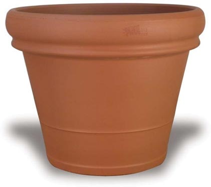 Rosa rolled pot