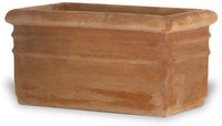 Rosa roma planter