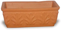 Rosa roman window box square pot