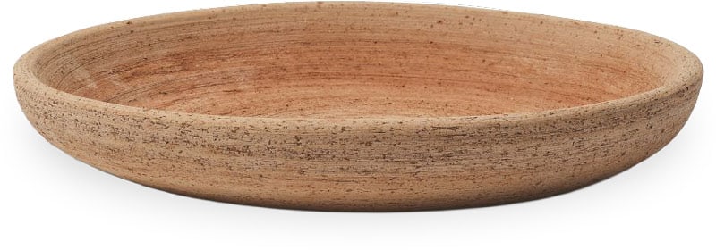 Rosa sovereto saucer