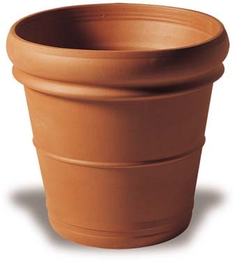 Rosa tuscan rolled pot