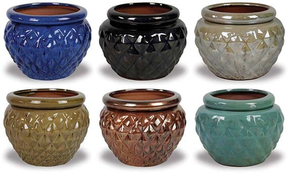 Serra small self watering pot