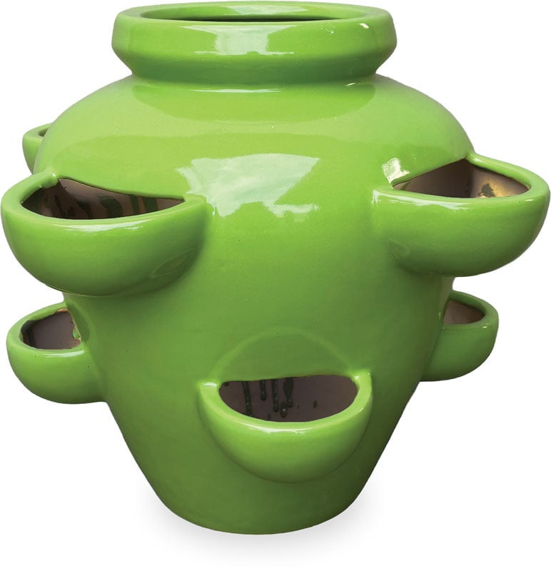 Sol biba strawberry planter, green