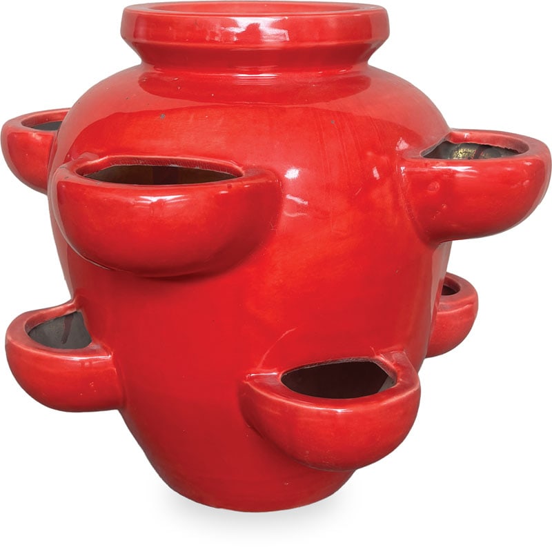 Sol biba strawberry planter, red