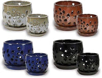 Sol flower orchid pot