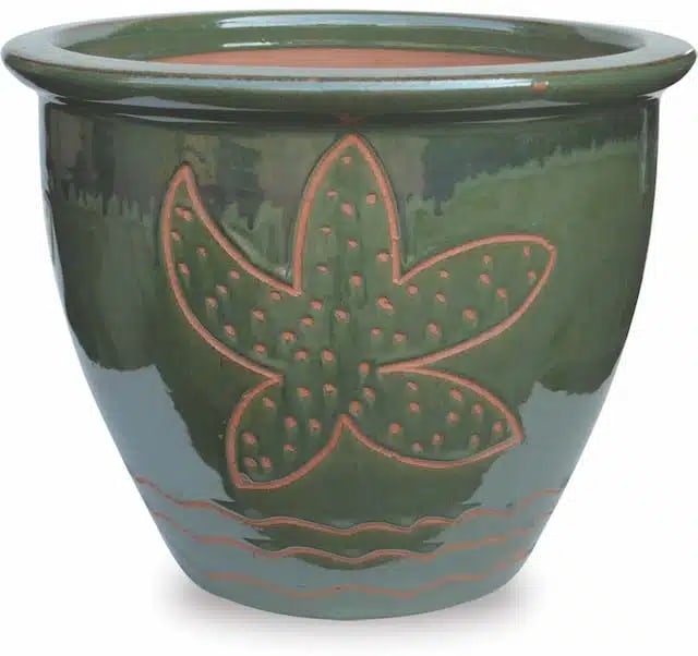 Sol garden pot with starfish carving, jade