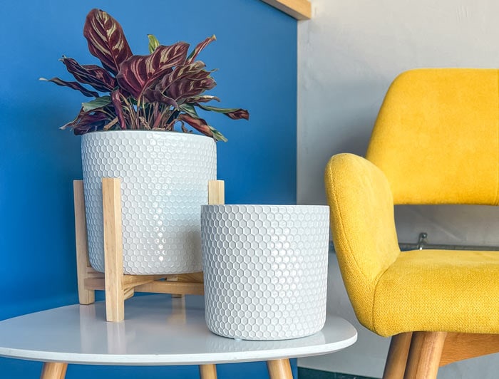 Sol honeycomb pot with wooden legs