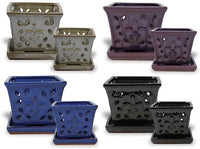 Sol orchid assortment fleur pot