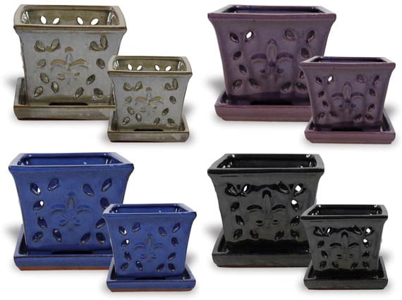 Sol orchid assortment fleur pot