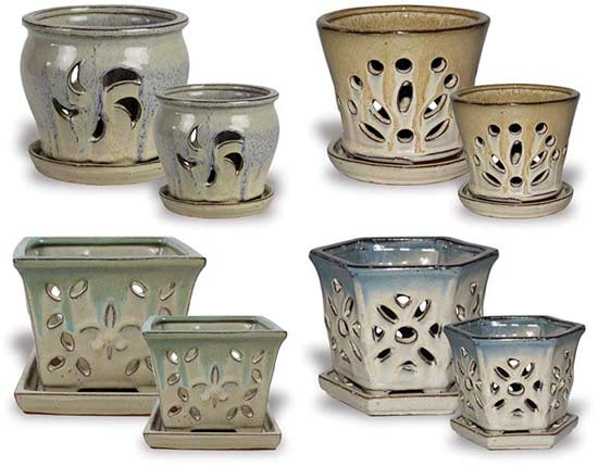Sol orchid assortment spring pot