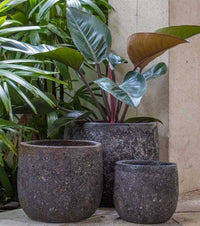 Sol pot egg planter