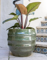 Sol short ridge belly planter