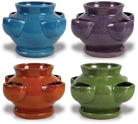 Sol small strawberry planter