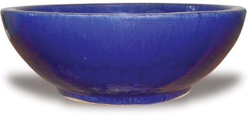 Sol solid succulent bowl, blue