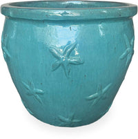 Sol starfish planter, green