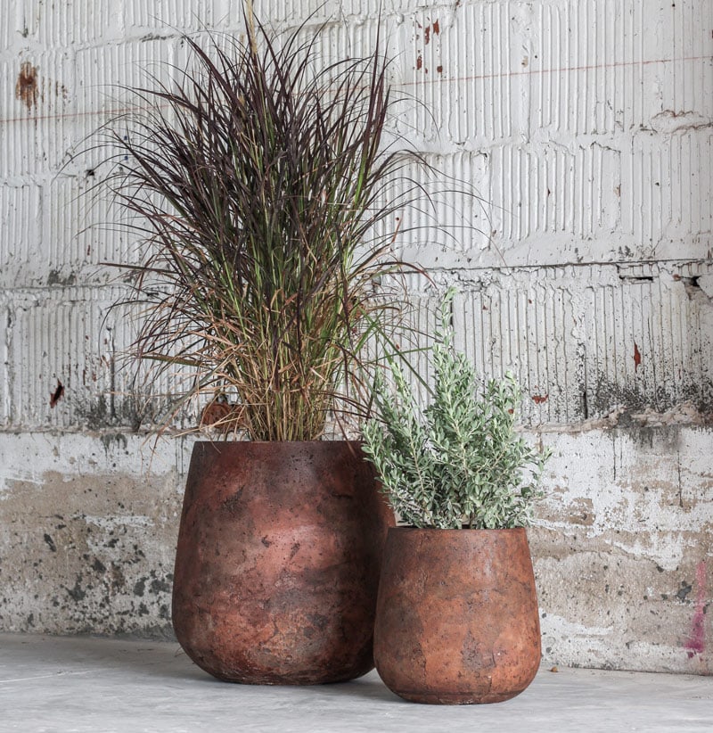 Terracota zara planter