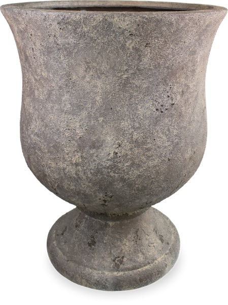 Vento kaia planter