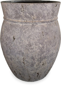 Vento konoa planter