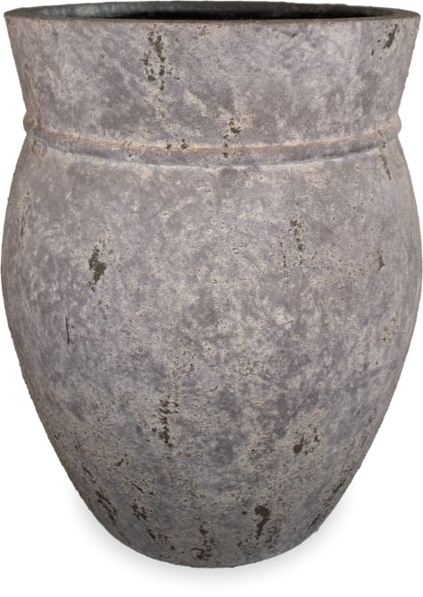 Vento konoa planter