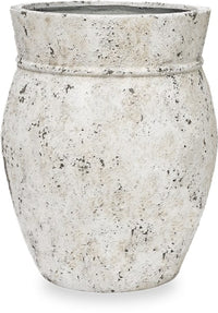 Vento konoa planter