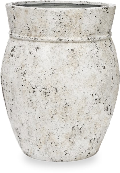 Vento konoa planter