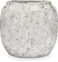 Vento konus planter