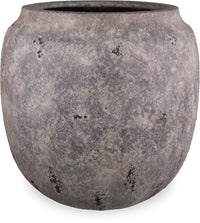 Vento konus planter