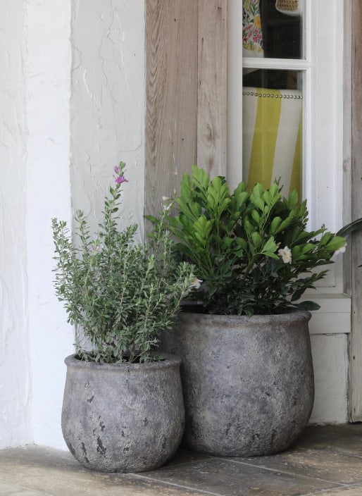 Vento planter