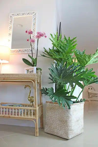 Yerba black square planter