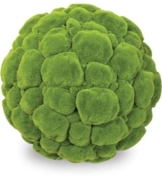 Yerba moss ball planter